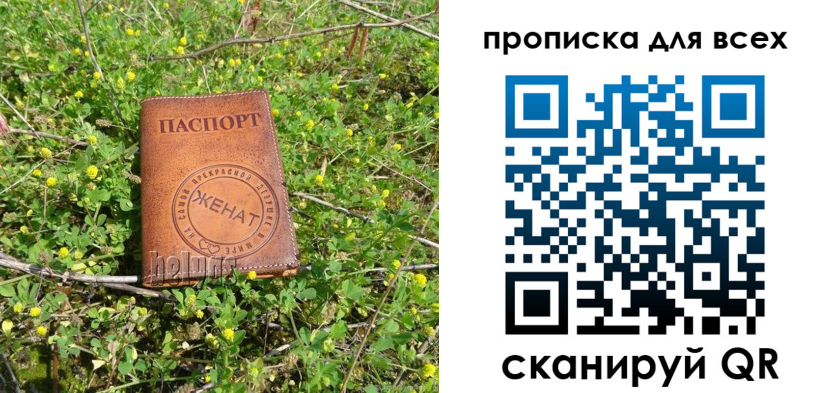 прописка поиск в Рудне